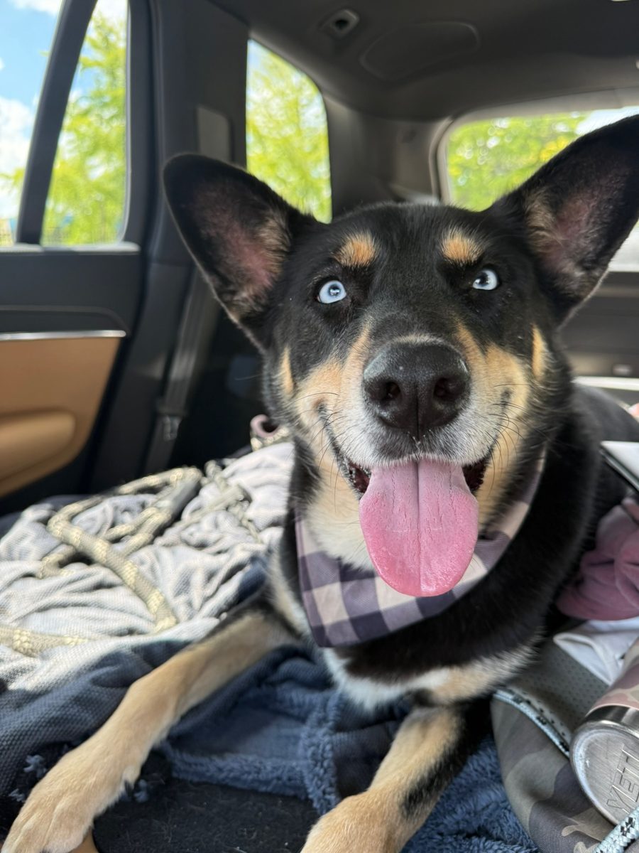 Cora smiling in a car, showing her blue eyes