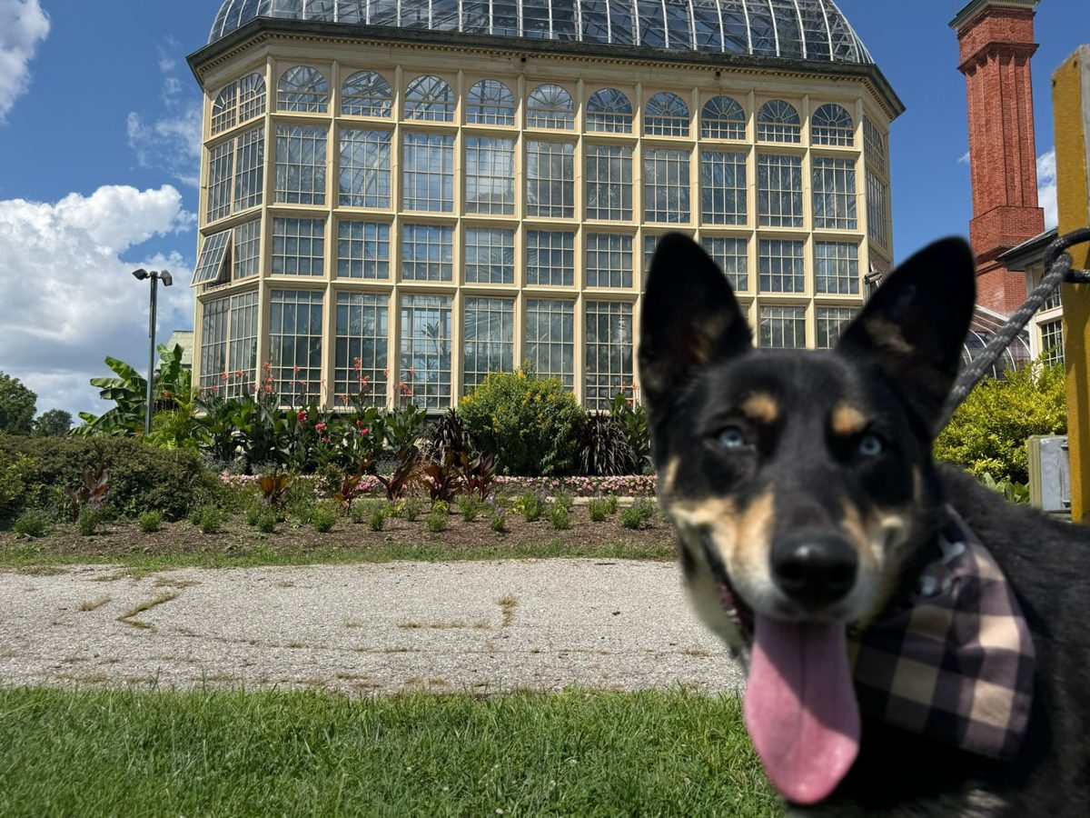 Cora outside a conservatory
